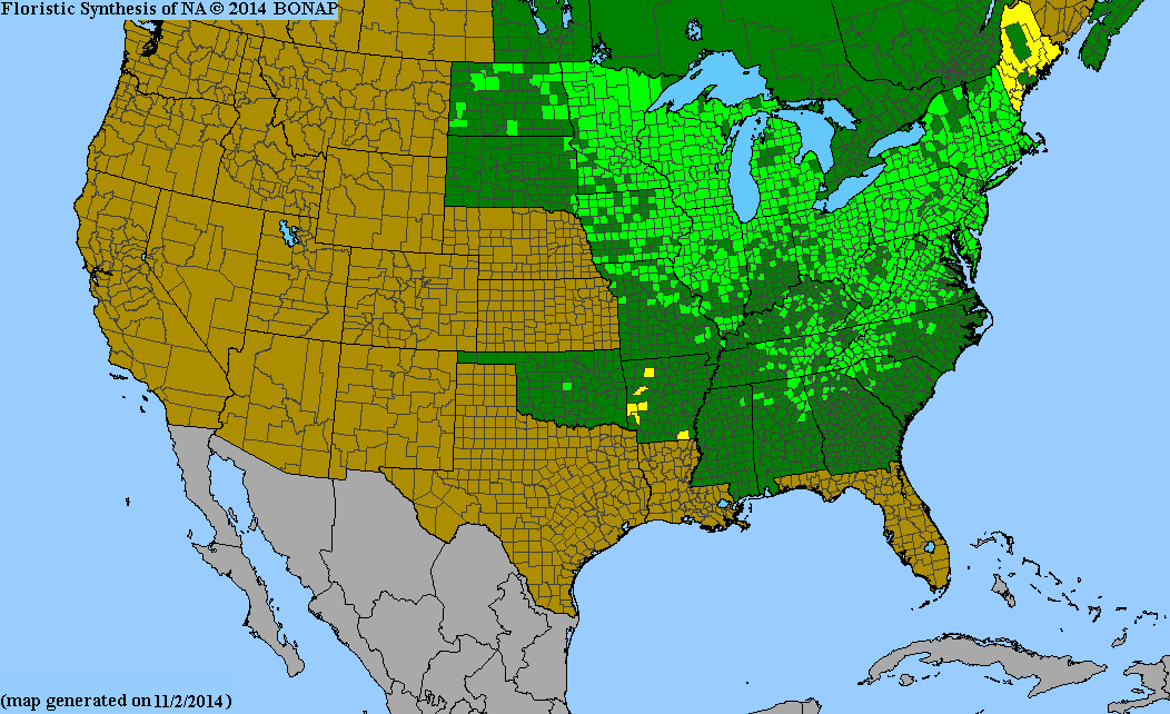 County distribution map of Carex pensylvanica - Pennsylvania Sedge